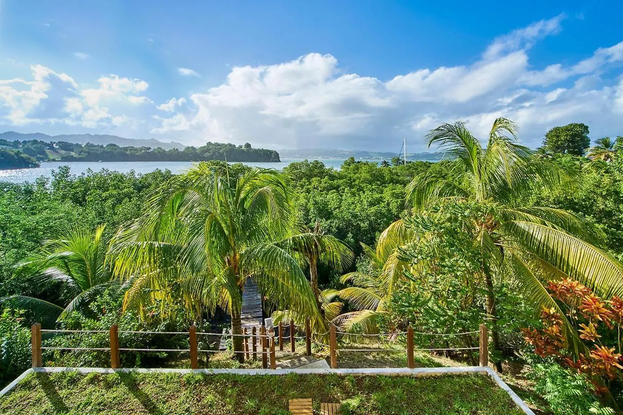 Homestay K'Fee K'Nelle Martinique